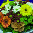 /fileuploads/Produtos/Bouquets e Ramos/thumb__Bouquet_Primaveril_02.jpg